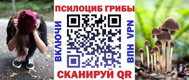 Псилоцибиновые грибы прущие грибы  Купить где  Макушино 