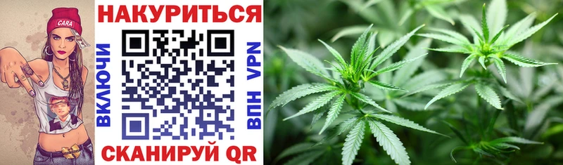Купить где  Макушино  Бошки марихуана LSD WEED 